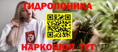 хмурый Кандалакша
