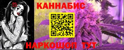 шишки Камышлов