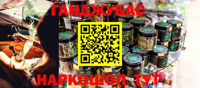 шишки Камышлов