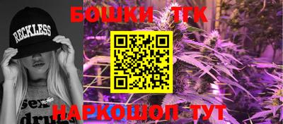 шишки Камышлов