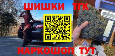 шишки Камышлов