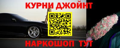 шишки Камышлов