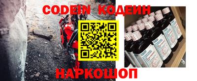 шишки Камышлов