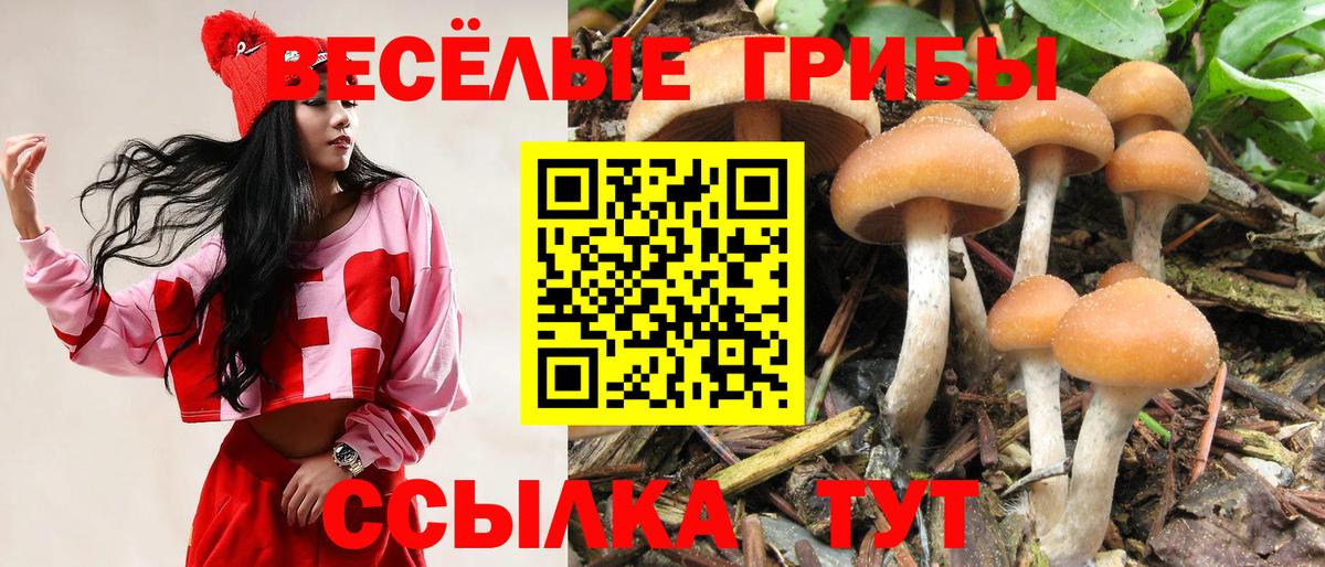 Крымск  Галлюциногенные грибы MAGIC MUSHROOMS  Псилоцибиновые грибы GOLDEN TEACHER  Вход с VPN 
