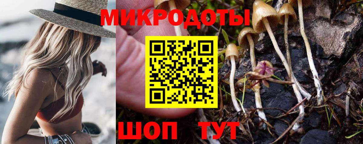 Псилоцибиновые грибы Psilocybine cubensis Крымск
